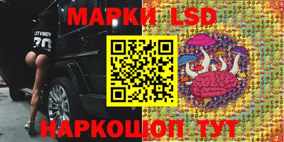 стаф Будённовск