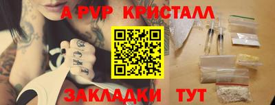 стаф Будённовск